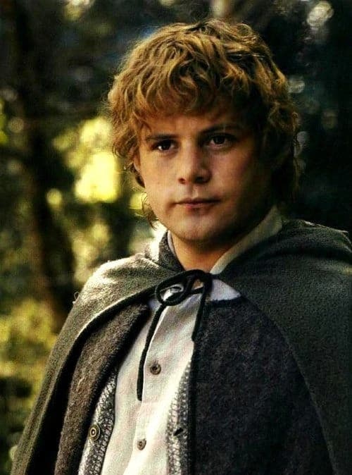 Samwise Gamgee